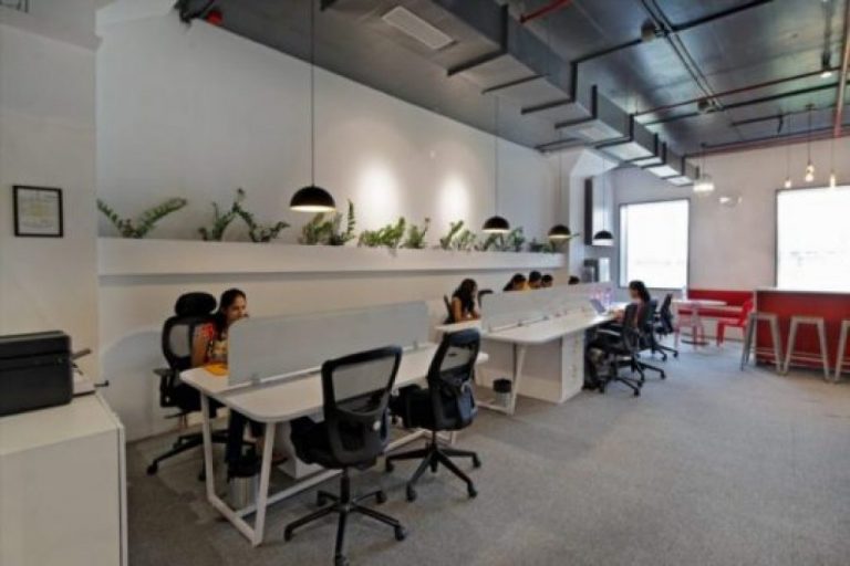 ZZ plant-Interior designing firms in Pune