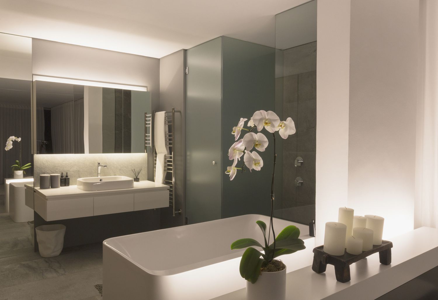 modern--luxury-home-showcase-bathroom
